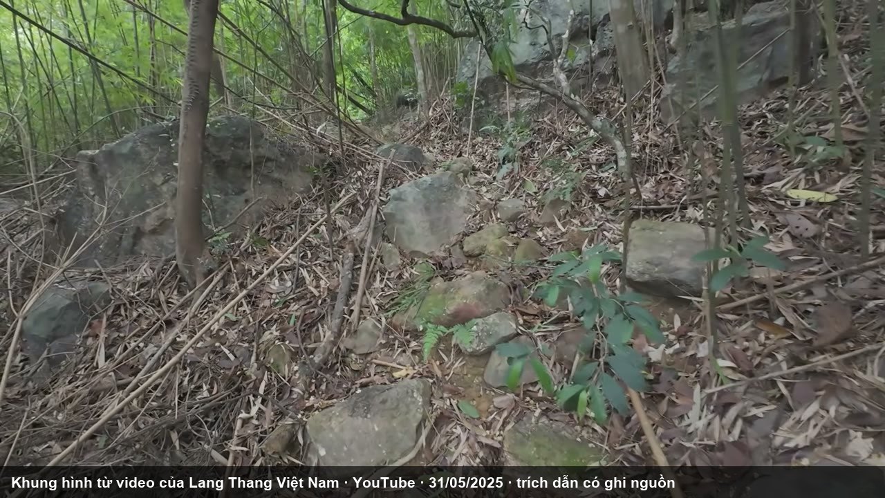 Lối mòn đá trong rừng tre trên đường lên đầu nguồn (Lang Thang Việt Nam, YouTube, 31/05/2025, mốc 7 phút 41)
